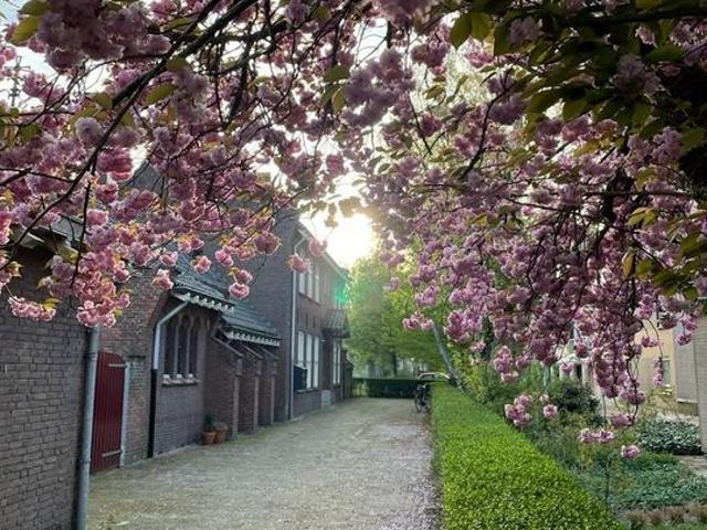 Te huur: Appartement Oranjeboomstraat in Breda