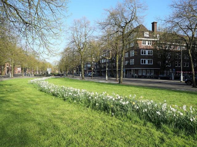 Te huur: Appartement Apollolaan in Amsterdam