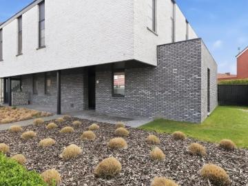 3840, Arrondissement de Tongres, Flandre