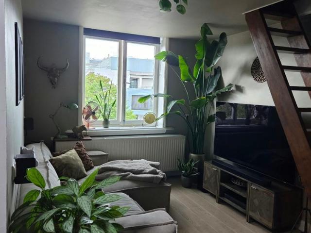 Te huur: Appartement Bogardeind in Geldrop