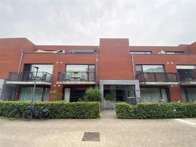 te huur Appartement Borsbeek