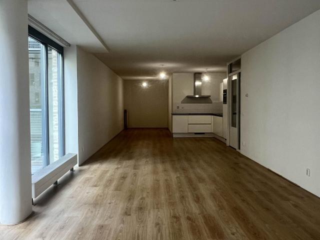 Te huur: Appartement Carolina van Nassaustraat 219 in Den Haag