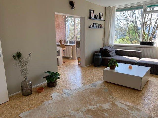 Te huur: Appartement Cartier van Disselstraat in Breda