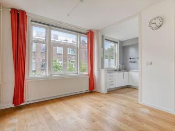 Wilhelminapark, Hagelbuurt - Terras