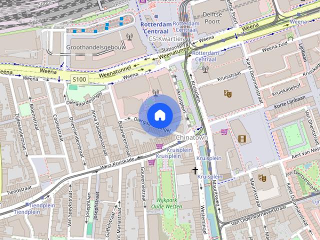 Te huur: Appartement Diergaardesingel 87 B kamer 10 in Rotterdam