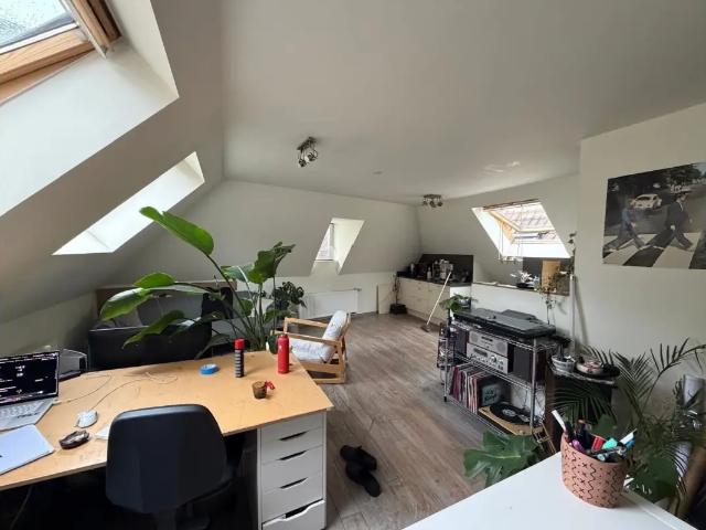 te huur Appartement Doornik