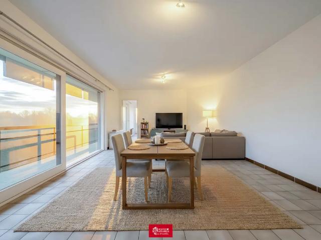 te huur Appartement Doornik
