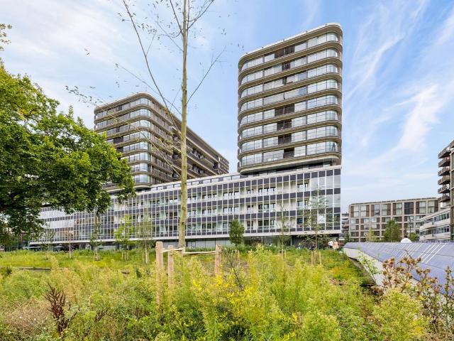 Te huur: Appartement Elizabeth Anscombestraat 557 in Amsterdam