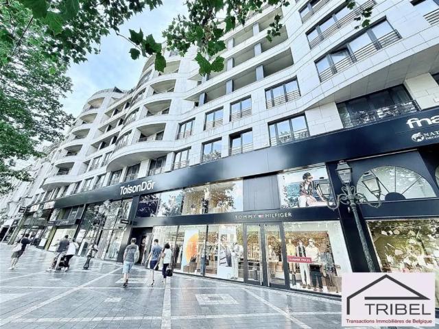 te huur Appartement Elsene