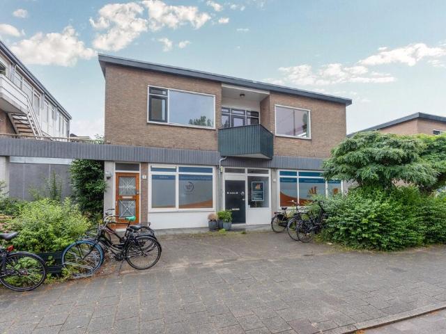 Te huur: Appartement Hugo de Vrieslaan 1 in Amsterdam