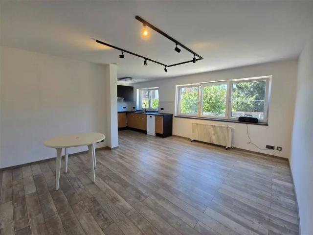 te huur Appartement Halle