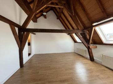 City, Gemeente Breda, Noord-Brabant - Tuin