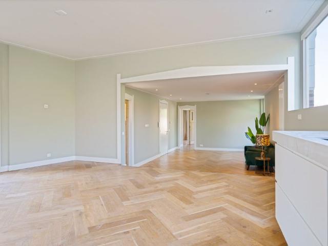 Te huur: Appartement Heemraadssingel in Rotterdam