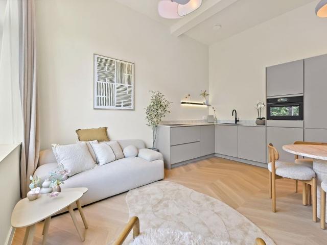 Te huur: Appartement Jan van Nassaustraat 16 D in Den Haag