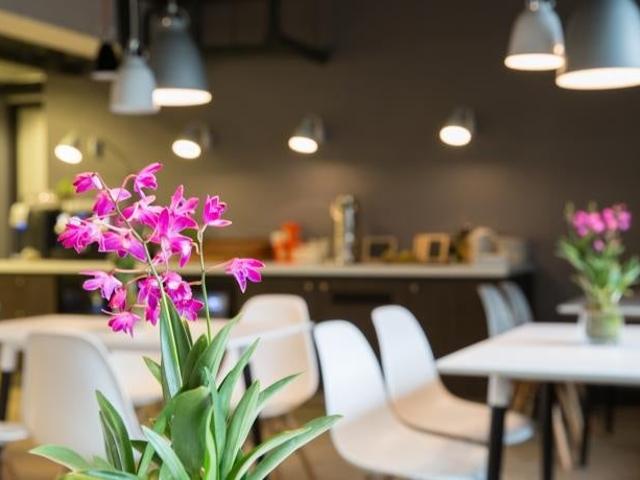 Te huur: Appartement Stadhoudersplantsoen in Den Haag