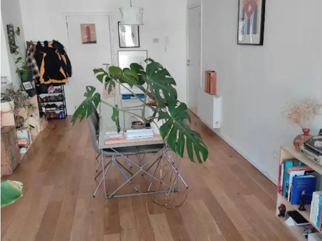 te huur Appartement Sint Jans Molenbeek