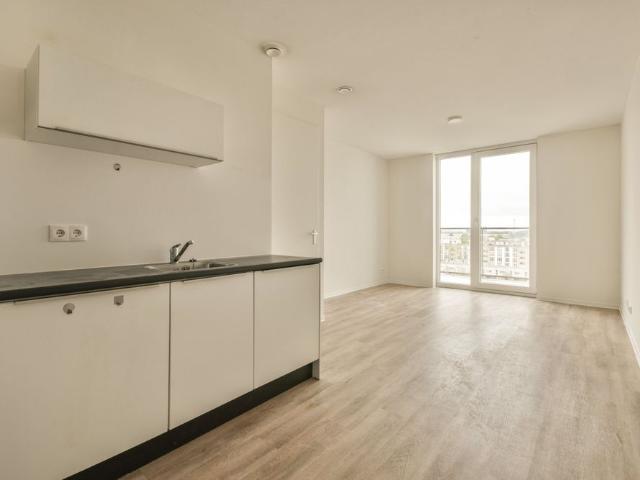 Te huur: Appartement Van Heuven Goedhartplein 717 in Utrecht