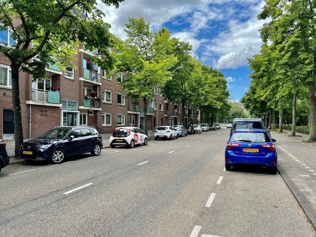 Te huur: Appartement Werengouw 397 in Amsterdam