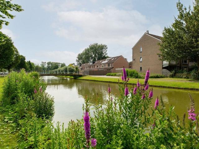 Te huur: Appartement Wiardapad in Rotterdam