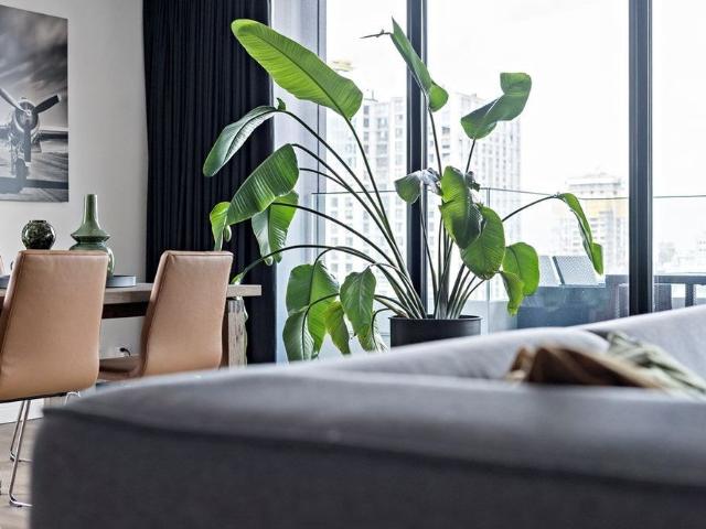 Te huur: Appartement Wijnhaven 71 E in Rotterdam