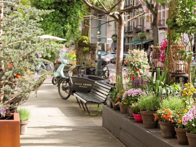 Onder bod: Cornelis Schuytstraat 17 2, 1071 JD Amsterdam