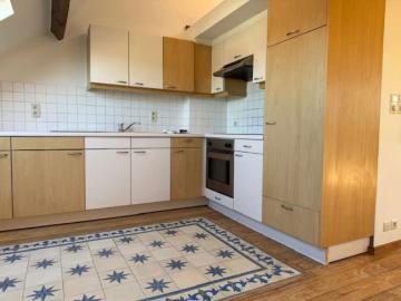 te huur: dakappartement in loftstyle
