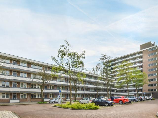Te huur: Huis Bolestein 546 in Amsterdam