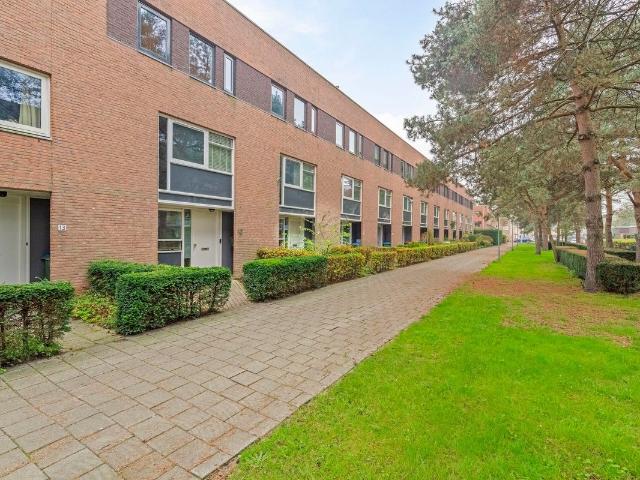 Te huur: Huis Boszandoog in Breda