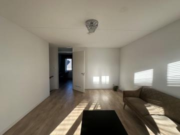 Feijenoord, Gemeente Rotterdam, Zuid-Holland