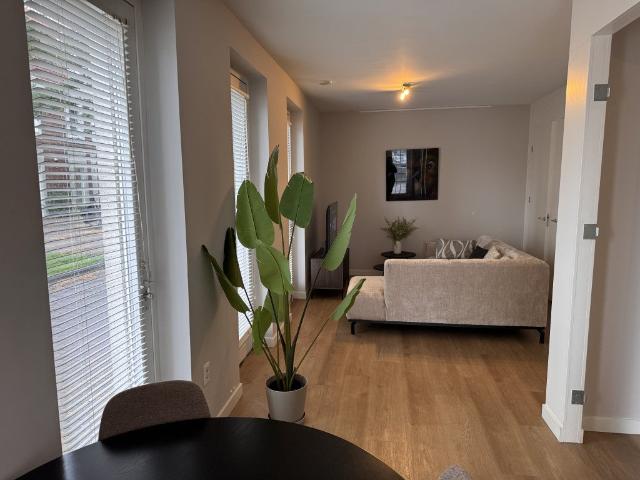 Te huur: Huis Maashaven N.z. in Rotterdam