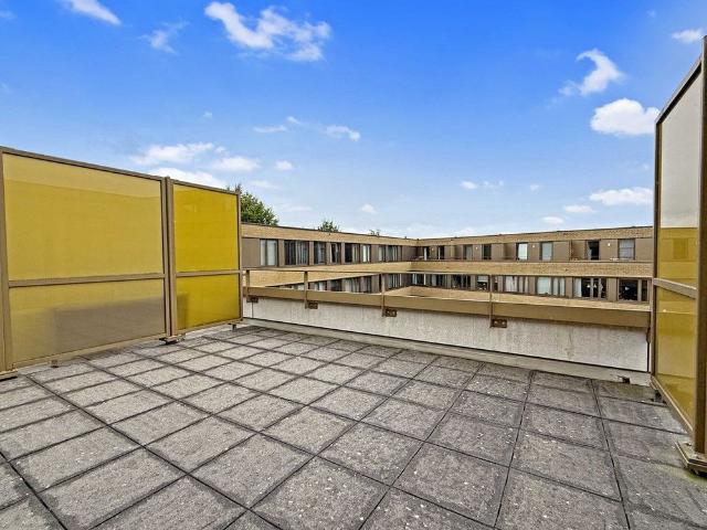 Te huur: Huis Peter Martensstraat 14 in Amsterdam