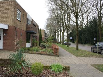 Olland, Meierijstad, Noord-Brabant - Tuin