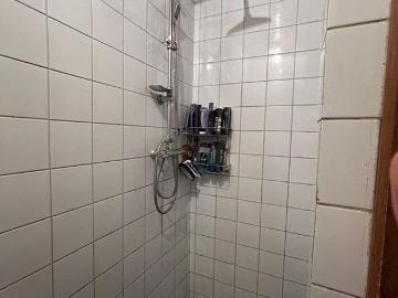 Olland, Meierijstad, Noord-Brabant - Tuin