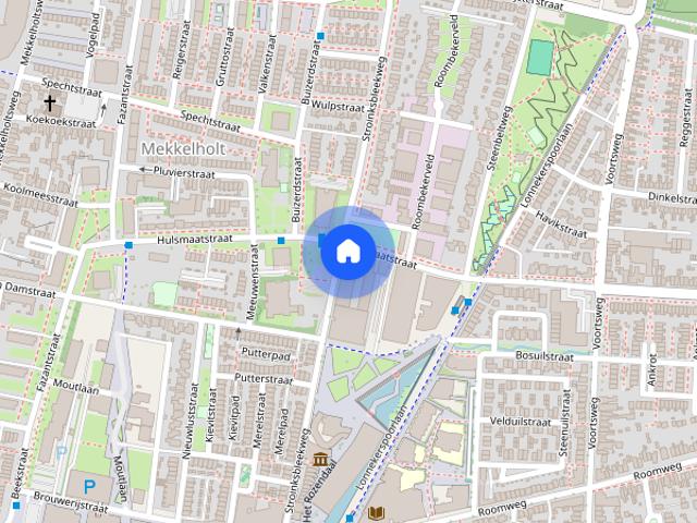 Te huur: Hulsmaatstraat 45 520