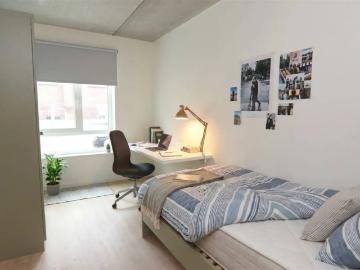 te huur Kot Kortrijk
