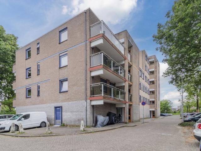 Te huur: Londenstraat 206