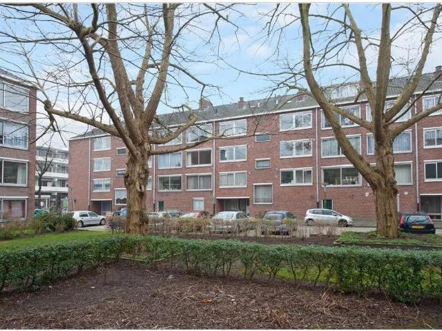 Onder optie: Rietnesse, 1082 CE Amsterdam | VVA