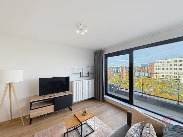 te huur Studio Brussel