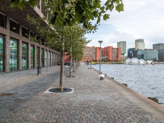 Te huur: Van Der Hoevenplein 316