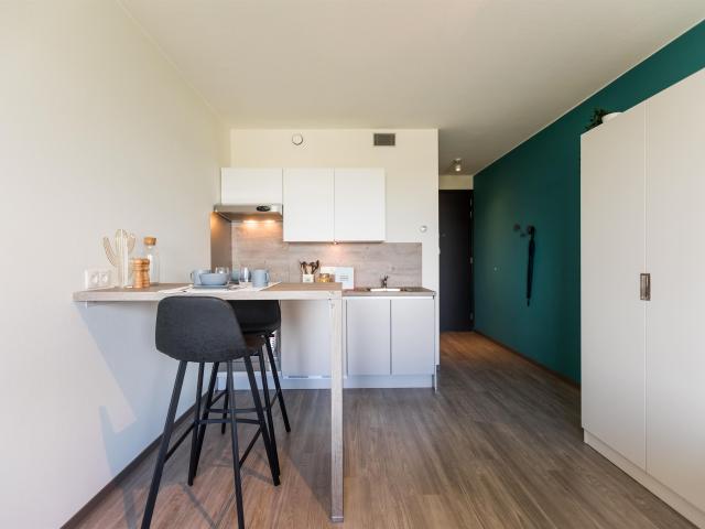Te huur: Van Heuven Goedhartplein 0ong, Utrecht