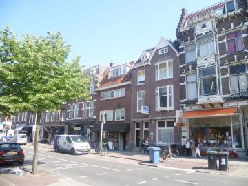 Wilhelminapark, Hagelbuurt