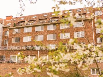 2800, Malines, Province de Anvers, Flandre