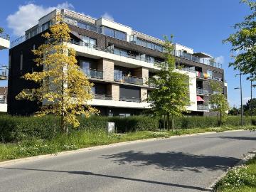 7090, Braine-Le-Comte, Arrondissement de Soignies, Wallonie