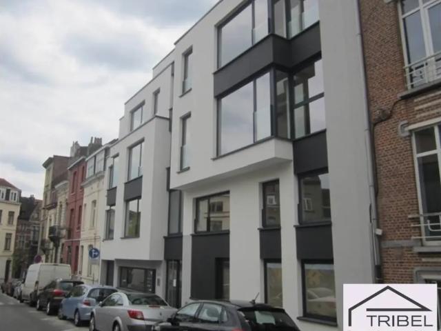te koop Appartement Elsene
