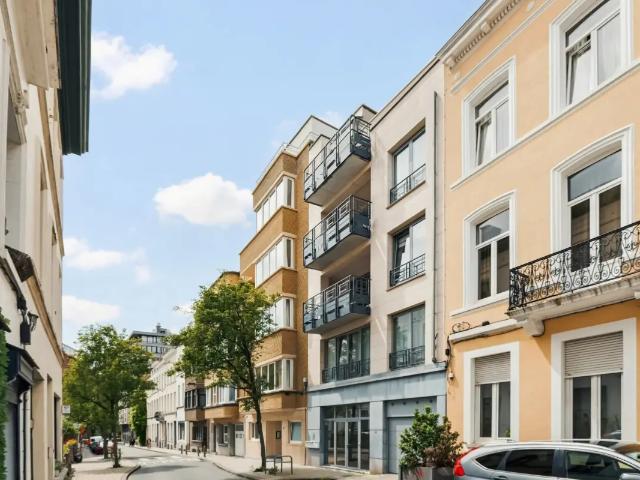 te koop Appartement Elsene
