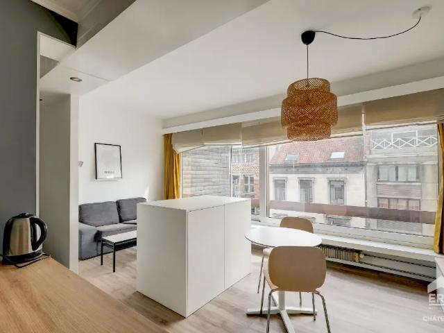 te koop Appartement Elsene