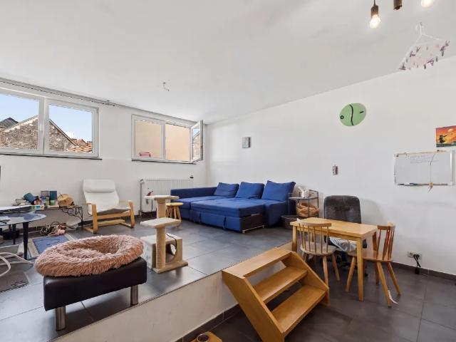 te koop Appartement Elsene