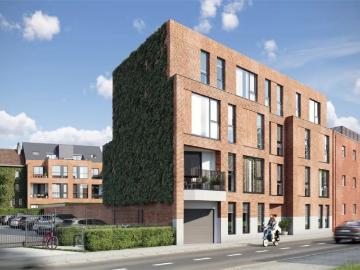 3800, Saint-Trond, Hasselt