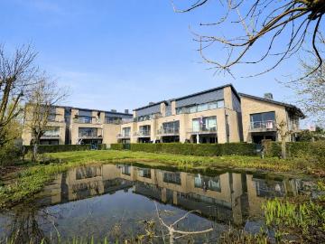 8630, Furnes, Flandre-Occidentale, Flandre