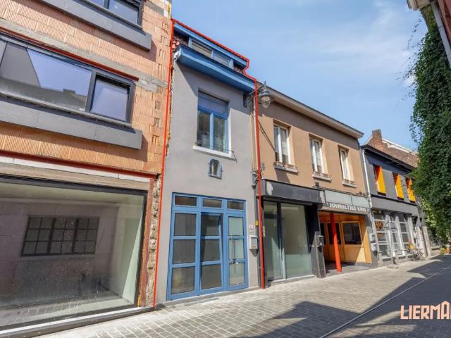 te koop Huis Aalst